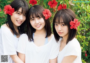 Sakina Tonchiki 頓知気さきな, Yuuna Mochida 持田優奈, Meina Hibino 日比野芽奈, Weekly Playboy 2019 No.46 (週刊プレイボーイ 2019年46号)